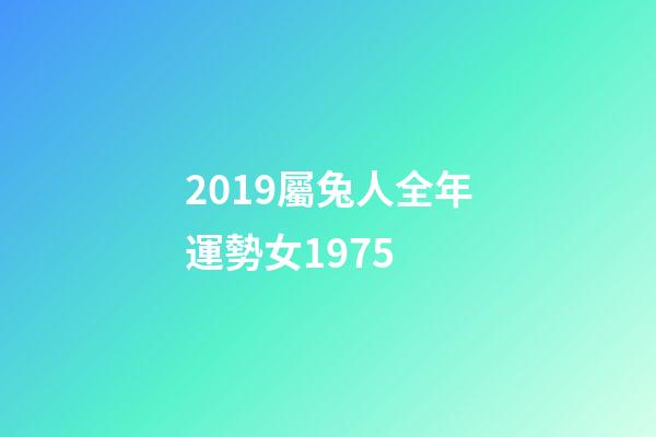 2019屬兔人全年運勢女1975 (1975屬兔的2017年運勢)-第1張-觀點-玄機派